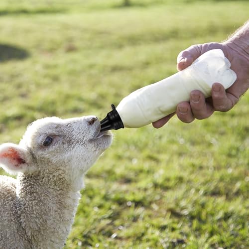 6-pack of black silicone goat nipples that snap onto the mouth of a common cola bottle, reusable and easy to clean, suitable for feeding lambs and goats