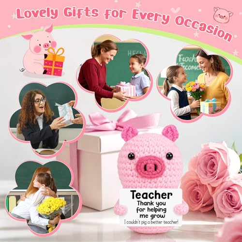 GevGuxLuo Funny Positive Pig Teacher Appreciation Birthday Gifts for Women | Back to School Thank You Gifts for Teachers End of Year, Handmade Crochet Pig Gift for Female Mother Positive Small Decor - style: Teacher
