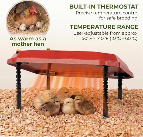 12"x12" Chick Brooder Heater Plate with 4 Cuttable Divider Panels - Adjustable Poultry Heater for 20 Chicks, Draft-Free Pen to Prevent Wandering, Safe Heat Lamp Alternative - color: 12"*12"