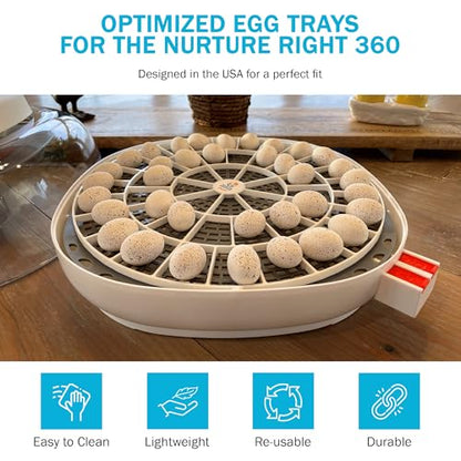 Egg Trays for 48 Small Quail/Bird Eggs - Durable Egg Tray for Nurture Right 360 Egg Incubator - Hand Washable Eggs Keeper for Chicken Goose Turkey Emu - size: 12.3"L x 12.3"W x 0.7"H