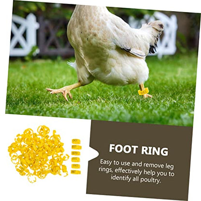 Kisangel 100pcs Adjustable Chicken Leg Bands Numbered Poultry Identification Rings for Easy Chick and Bird Identification Lightweight and Safe Material for Pigeons and Poultry Use - color: Yellow
