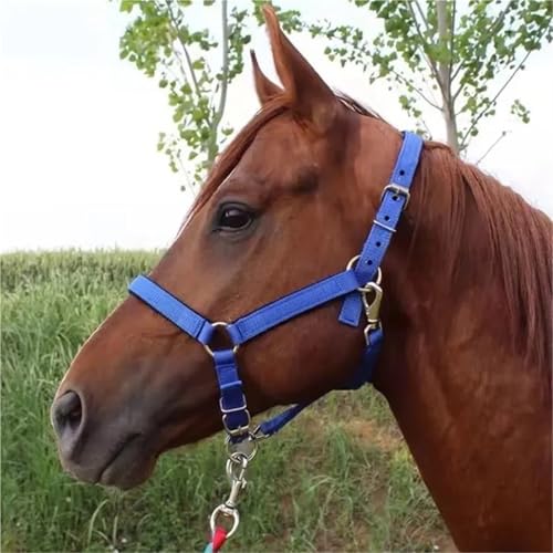 Cattle Halter Horse Equitation Padded Halter Bridle Comfortable Firm and Deformable Rein Equestrian Adjustable Head(Blue L) - color: Blue L