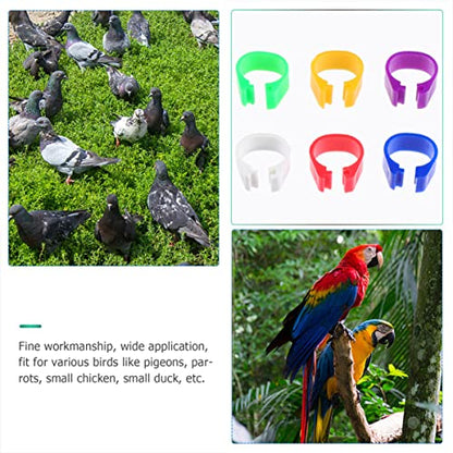 ORFOFE 100pcs Bird Leg Bands Chicken Duck Bands Poultry Foot Ring Clip Ring and Comfortable for Birds Identification