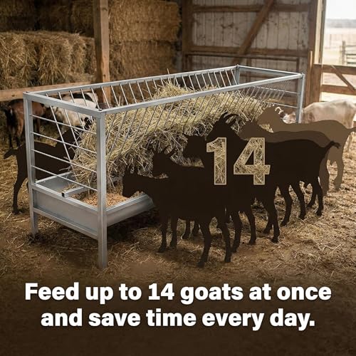 77 Gallon Pasture Feeder, Galvanized Steel, 60-Inch Length x 33.4" Height Hay Rack with 2 in 1 Hay Feeder, Easy to Assemble and Carry, Feeding Goats, Sheep and Ponies for Farms, Sheep Sheds, Pigsties