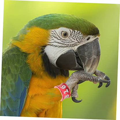 DECHOUS 50Pcs Closed Leg Bands for Parrots and Pigeons Numbered Bird Leg Rings Sturdy Alloy Identification Rings for Small Birds for Poultry and Pigeon Supplies