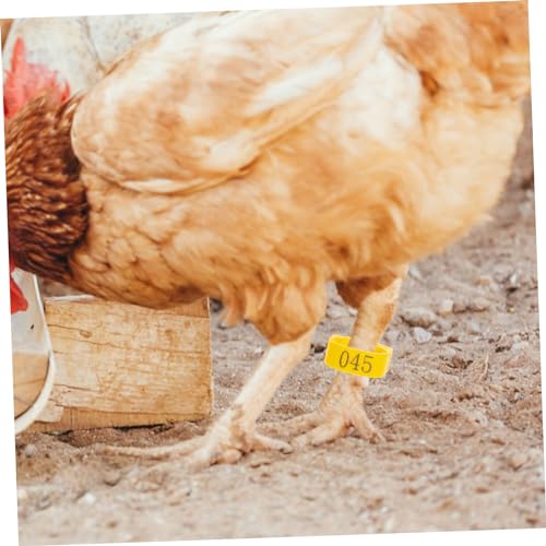 Kisangel 100pcs Adjustable Chicken Leg Bands Numbered Poultry Identification Rings for Easy Chick and Bird Identification Lightweight and Safe Material for Pigeons and Poultry Use - color: Yellow