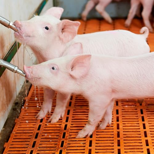 Sows Waterer Nipple Automatic Drinking Cups Touch Switching Water Nipples Dispenser for Goat Small Horses Livestock Drinker - color: B