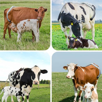 Cattle Anti Kicking Stick,Adjustable Retractable Cow Stop Kick Rod Metal Cow Anti Kick Off Device Tool Veterinary Equipment
