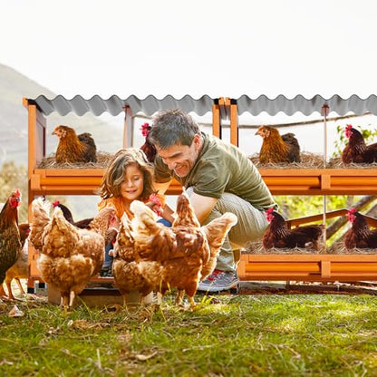 10-Compartment Chicken Nesting Boxes, Spacious for Large Breeds, Premium Pine Wood & Weather-Resistant PVC Sloped Roof, Safe No Sharp Edges for Laying Hens - size: 66.7"L x 12.2"W x 29.8"H