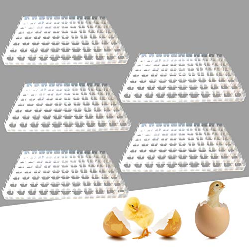 Portable 5pcs Egg Hatching Incubator Trays Chicken Quail Pheasant Duck Turkey Eggs Holder 88-Egg Egg Crate Plastic Container Egg Breeding Tray for Home Farm Nestling Hatching