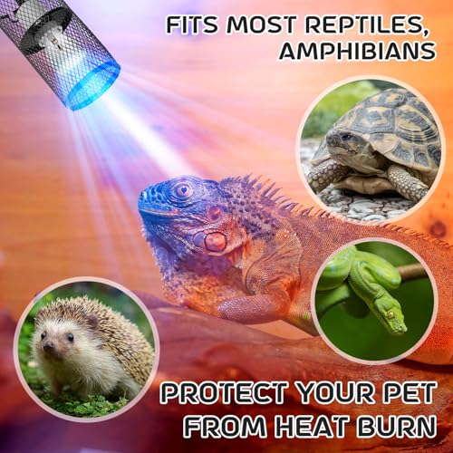 VIHOSE 6 Pcs Reptile Heat Lamp Guard with 150W Ceramic Heat Emitter Basking Anti Scald Heating Lamp Holder Mesh Cage Reptile Protection Lampshades for Lizard Snake Chick, Bulb Not Included - color: White