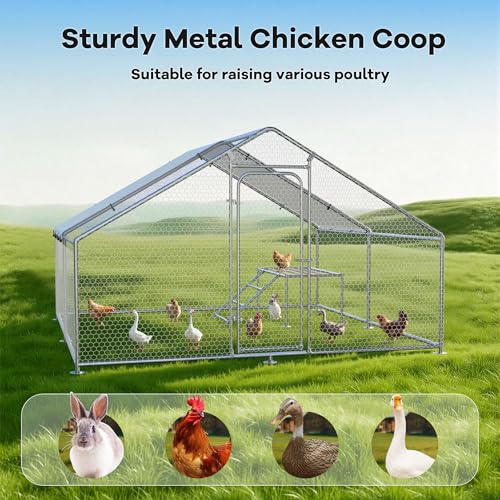 Large Metal Chicken Coop with Roosting Ladder, UV-Resistant and Waterproof Cover, Outdoor Walk-in Cage Hen House for Yard Farm Rabbit Duck Chicken Run, Spire Roof (13.1'W x 9.8'L x 6.4'H) - size: 157.5"L x 118.0"W x 78.0"H