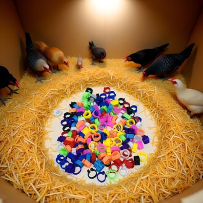 100PCS 10 Colors Poultry Leg Rings,8mm Poultry Foot Rings Bird Identification Leg Bands Clip-on Rings for Birds, Ducks and Chickens Diameter Poultry Care