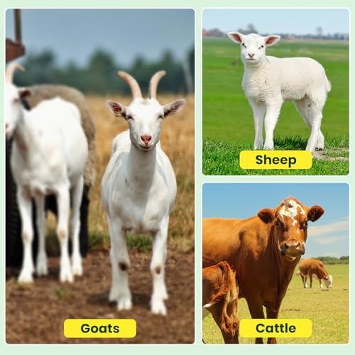 Electric Fence Netting, 164'L x 49.6" H, Portable Electric Fence for Livestock, Goat, Cattle, Sheep, PE Net Fencing Kit for Backyards, Ranches, Farms, Patio, Goat Fencing with 14 Posts Double Spiked
