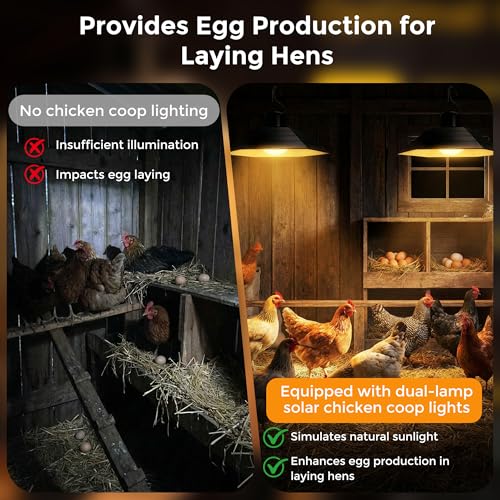 4800mAh Solar Chicken Coop Light with Timer, 3/5/8H Remote, Chicken Coop Accessories, Dual Lamps 58 LED, 3 Brightness Levels, 19.6ft Cords, IP54 Waterproof Light for Sheds Barns Farm Stables