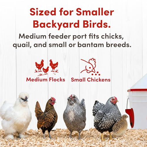 RentACoop Chick2Chicken 10lb Feeder & 2 Gal Waterer Set with Gravity Feed Refill & Auto-Fill Cups, Horizontal Nipples - BPA-Free Food & Water Buckets for Up to 20 Chicks or 12 Adult Chickens - size: Set with Nipples and Auto-Refill Cups