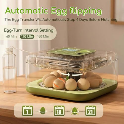 Incubator for Hatching Eggs with Turning,12 Eggs Automatic Incubator and Temperature Control Precise Humidity Control, 360° View Clear Window for Hatching Chicken, Quail Bird,Duck, Pigeon Eggs
