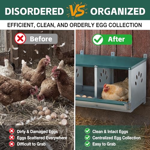 3 Compartment Metal Chicken Nesting Box with Roll Away Egg Collection 32×16×15in,Wall Mountable Large Hen Laying Box with Vented Holes,3 Houses Coop Roosting Boxes Fit for Different Poultry Breeds - size: 32×16×15in