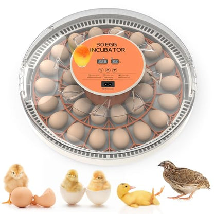 30 Egg Incubator with Automatic Egg Turning, Temperature Control and Humidity Monitor Incubators for Hatching Eggs, Chicken, Ducks, Goose, Pigeon, Quail, Parrot Incubator for Farm, Lab - size: 30-EGGS