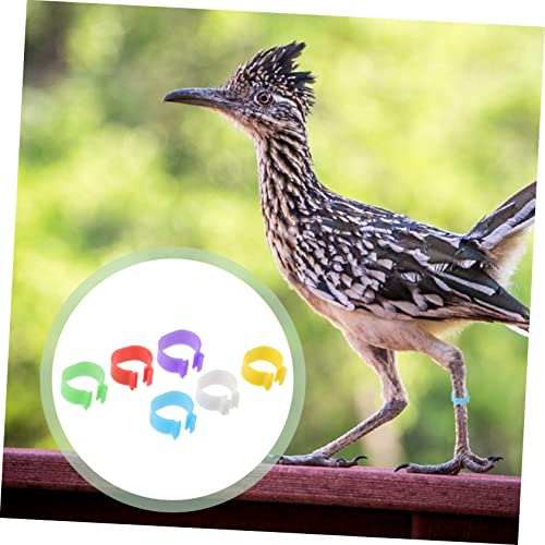 balacoo 360pcs Poultry Identification Multi Foot for Chickens and Geese Easy to Use and Remove Leg Bands for Bird Marking Random Color