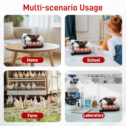 Automatic Egg Incubator for 12 Chicken Eggs with Camera APP Control | Temperature & Humidity Monitor, Auto Egg Turner, Record Life's Birth Moments for Chicken Duck Quail Pigeons