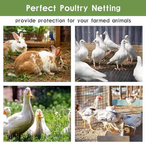 Tongmo Black Hardware Cloth, 1/2 inch 48'' x 50'Chicken Wire Fence, 19 Gauge Vinyl Coated Welded Cage Wire Mesh Roll Supports Poultry Netting Cage Garden Fence…