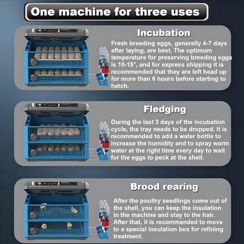 Egg Incubator with Automatic Turning and Humidity Control, Digital Display for Hatching Chicken, Duck, and Quail Eggs - Adjustable 300 Egg Capacity - size: 256