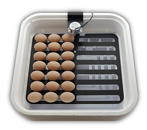 HovaBator 2370 Egg Incubator Deluxe Combo Kit, Thermostat, Auto Turner, Fan