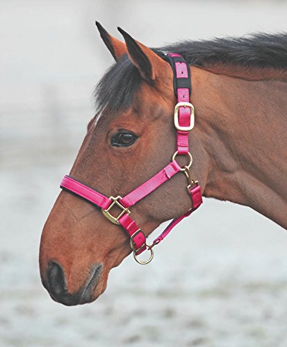 Shires Topaz Leather Breakaway Nylon Headcollar - color: Raspberry, size: Cob
