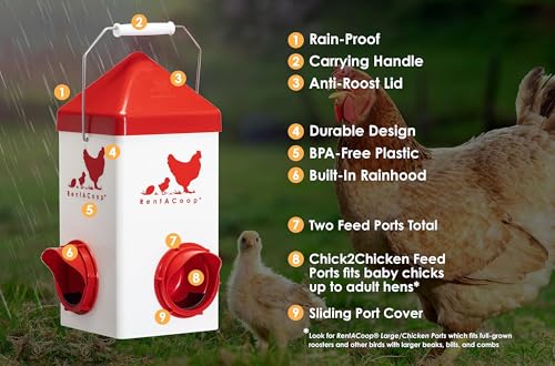 RentACoop Chick2Chicken 5lb 2-Port Feeder - Includes Anti-Roost Lid and Slider Port Covers - Suitable for Quail, Pigeons, Doves, Chicks, and Adult Chickens