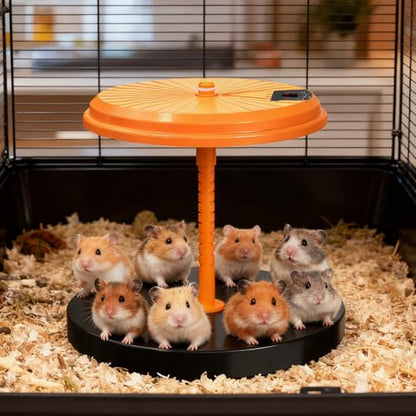 Chick Brooder Heating Plate 35W, ABS Poultry Warmer, 25x24x20 cm Height Adjustable for Winter, Ducks, Quail, Hedgehogs, Reptiles, Farm, Lab, Home