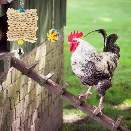 Beaupretty 5PCS Chicken Treat Ball Kit Hanging Bird Set for Parrots and Chickens with Feeder Ball Chewing and Weaving for Pet Entertainment and Foraging Random Color
