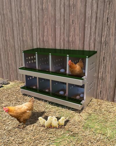 PioneerWorks Wall-Mountable Rollaway Chicken Nesting Box, 8-Compartment Metal Hen Nest Box with Roll-Out Egg Collection, Weatherproof & Ventilated Design for Chicken Coops, Green