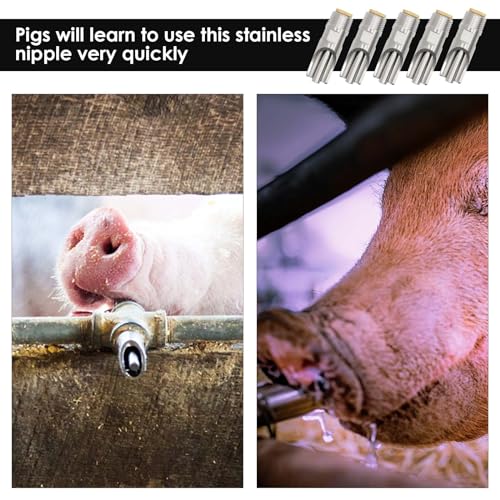 20 Pieces Pig Nipple Waterer 1/2 Inch Stainless Steel Automatic Pig Nipple Water Feeder for Pigs Hog Nipple Drinker Pig Water Nipple for Barrel Hog Nipples for Pigs Hogs Sows