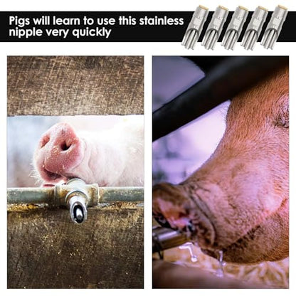 20 Pieces Pig Nipple Waterer 1/2 Inch Stainless Steel Automatic Pig Nipple Water Feeder for Pigs Hog Nipple Drinker Pig Water Nipple for Barrel Hog Nipples for Pigs Hogs Sows