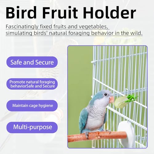 6Pcs Rat Enrichment Toys, Stainless Steel Rat Foraging Toy for Fruit Vegetable Holder, Bird Food Holder Hanging Slow Feeder Clip for Parrot Bird Rodents