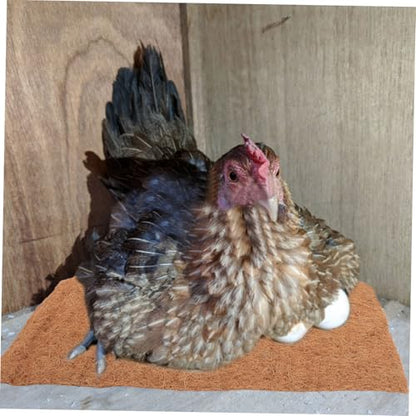 4pcs Washable Chicken Nesting Pads Nonslip Coconut Coir Mats for Coop Bedding Soft Comfortable Nesting Box Liners for Hens to Lay Eggs Thick