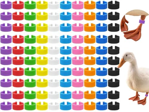 100 Pcs 16mm Numbered Poultry Leg Bands, 10 Vibrant Colors Reusable Clip-On Chicken Ankle Tags, Waterproof Quick-Spot Identification Foot Rings for Chicks, Ducks, Guineas, Pigeons, Gamefowl