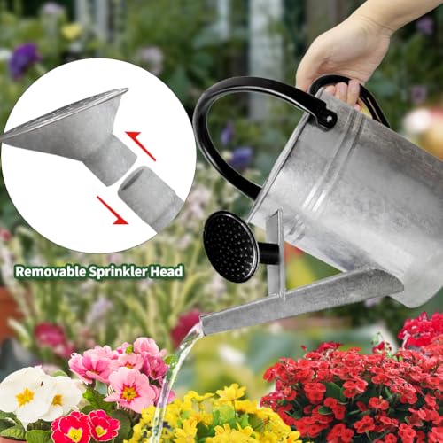 1 Gallon Metal Watering Can with Removable Spout, Nice Galvanized Steel Water Can for Indoor and Outdoor Plants (House Plants) - color: Silver