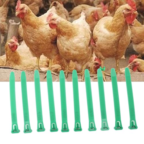 HEEPDD Chicken Leg Bands, Adjustable Fadeless Numbered Plastic Poultry Identification Leg Rings with Clear Colorfast Engraving, for Duck Goose Chicken Management (Green) - color: Green