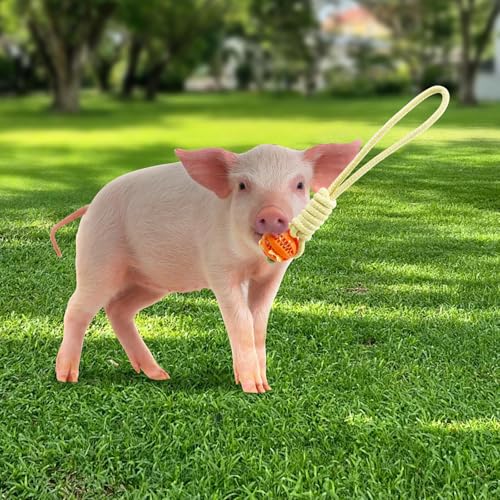 Mini Pig Supplies, 3 Pack Treat Dispenser Ball Toys for Pigs, Plastic Food Foraging Ball with Rope for Pigs, Pig Toys for Pet Pig