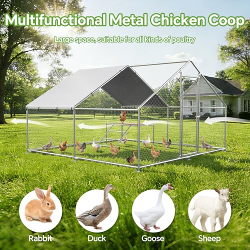 Large Metal Chicken Coop with Roosting Ladder, Waterproof and UV-Resistant Cover,Outdoor Walk-in Cage Hen House for Yard Farm Rabbit Duck Chicken Run, Spire Roof(13.1'W x 9.8'L x 6.4'H) - size: 157.5"L x 118.0"W x 78.0"H