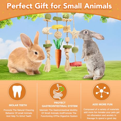 Jorewood Rabbit Chew Toys Bunny Cage Hanging Toy and Treats Rattan Ring with Snacks for Rodent Pets Teeth Healthy - size: 1 count