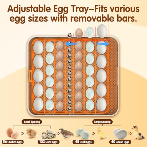 Incubator for Hatching Eggs, 56 Eggs Incubator with Automatic Egg Turning, Temperature & Humidity Control, LED Egg Candler, Incubation Days Display, for Chicken, Duck, Goose, Quail, Parrot Bird Eggs