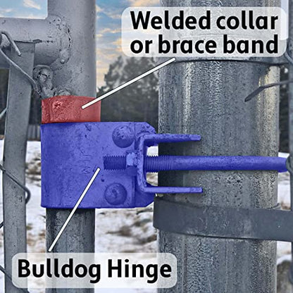 Chain Link Fence Bull Dog Commercial Duty Gate Hinge-for 4" Outside Diameter Gate Post/Pipe & 1-5/8 Thru 1-7/8" Gate Frames-Galvanized Chain Link Post Gate Hinge-Hinge Nuts/Bolts Included (2 Pak) - size: 4" Post - 2 Pack