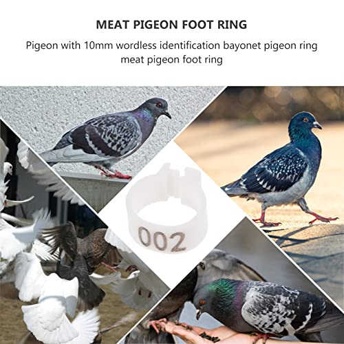 Happyyami 100pcs Pigeon Foot Bands Leg for Bird Identification Design for Racing Pigeons Parakeets and More - color: White
