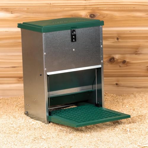 Hatching Time Treadle Chicken Feeder – 26 lb Capacity – Weight-Activated Outdoor Poultry Feeder – Rodent-Resistant, Galvanized Metal, Weatherproof Design for Chickens, Ducks, Game Birds - size: 26 Pound