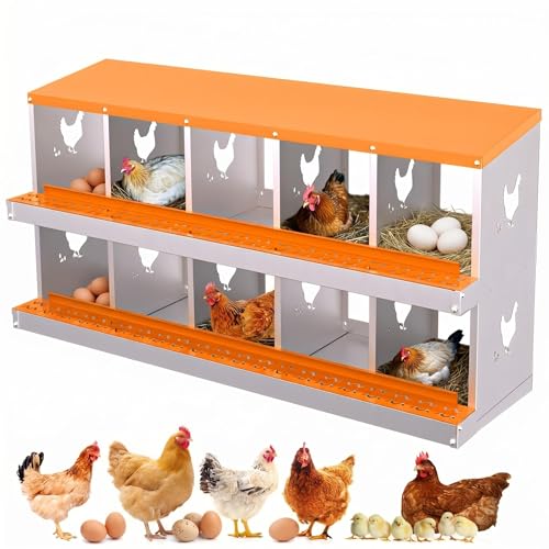 Chicken Nesting Boxes, 10 Compartment Metal Stainless Steel Chicken Laying Boxes, Easy to Clean and Install, 2-in-1 Wall/Floor Standing, for Hens Outdoor Chicken Coop Farm Yard, Orange - color: Orange, size: 10 holes