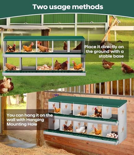 Space-Saving Durable Design - Metal Chicken Nesting Box for Small Animals - 10 Compartments, Wall Mountable, Easy Egg Collection, No Legs - Green, 10 Compartments, No Legs - color: Green-10 Compartments