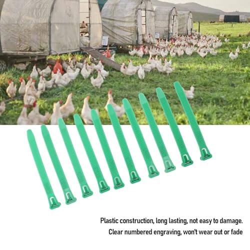HEEPDD Chicken Leg Bands, Adjustable Fadeless Numbered Plastic Poultry Identification Leg Rings with Clear Colorfast Engraving, for Duck Goose Chicken Management (Green) - color: Green